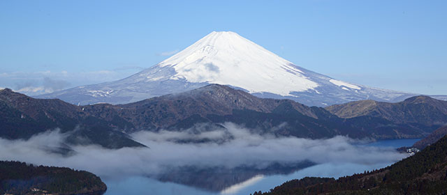 富士山を望む物件特集